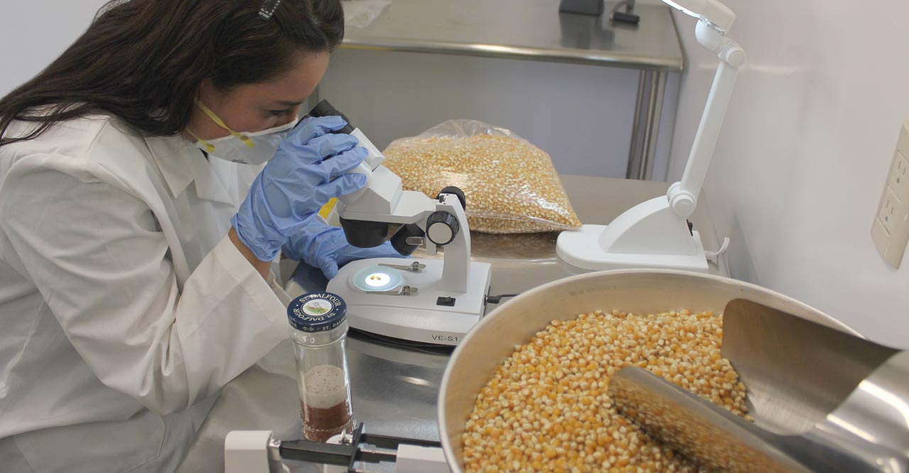 Puntos de Inspección y Verificación Internacional